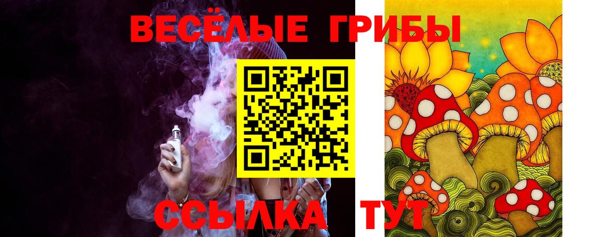 Назрань  Псилоцибиновые грибы MAGIC MUSHROOMS  Вход с VPN  сколько стоит  Псилоцибиновые грибы мухоморы 